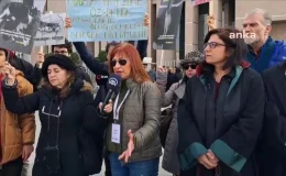 İstanbul’da kedilere kezzap ve asit döken sanığa 7 yıla kadar hapis cezası talep edildi