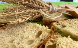 Çorum’da İsmail Kavak doğadan topladığı meyvelerle sirke yapıyor