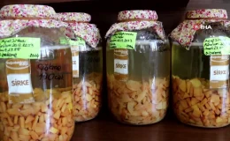 Evde çeşit çeşit meyvelerden sirke yapıyor